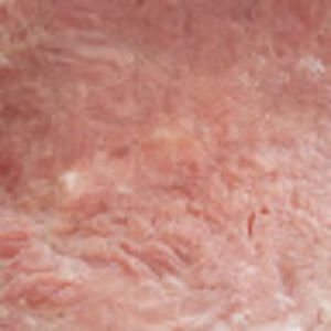 Meet your Posher, Wyatt